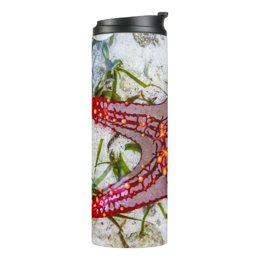 Starfish, Sansibar, Tansania Thermosbecher (Nach links gedreht)