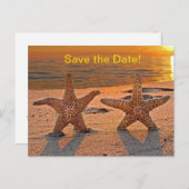 Starfish Save the Date Ankündigungspostkarte (Vorne/Hinten)
