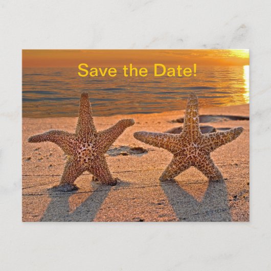Starfish Save the Date Ankündigungspostkarte (Vorderseite)