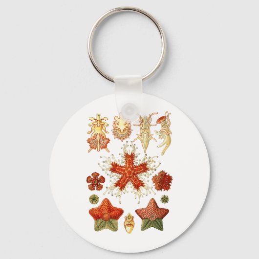 Starfish Schlüsselanhänger (Vorderseite)
