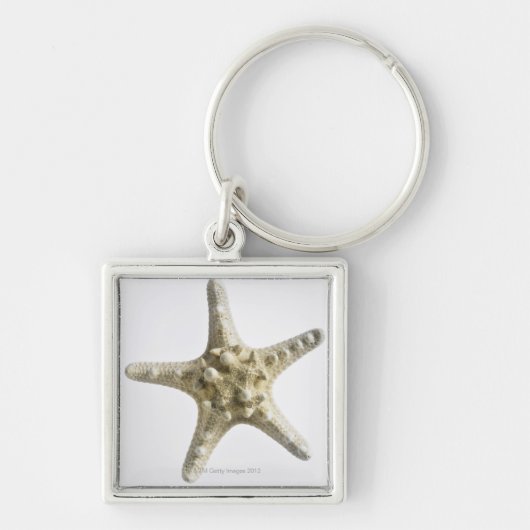 Starfish Schlüsselanhänger (Vorne)