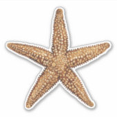 Starfish - Sea Star Aufkleber (Vorderseite)
