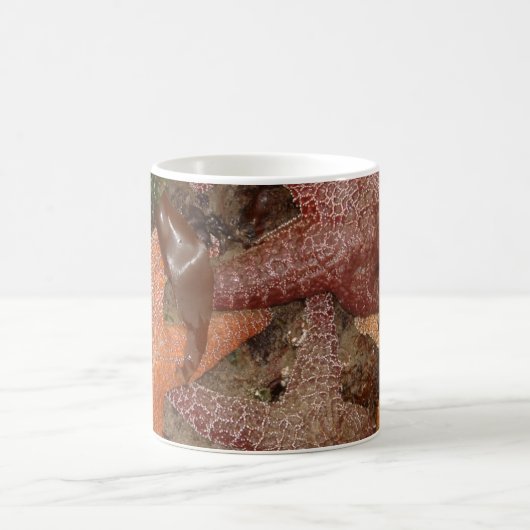 Starfish/Sea Stars in Cannon Beach, OR, Foto 4 Kaffeetasse (Mittel)