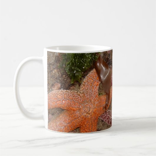 Starfish/Sea Stars in Cannon Beach, OR, Foto 4 Kaffeetasse (Links)