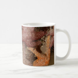 Starfish/Sea Stars in Cannon Beach, OR, Foto 4 Kaffeetasse