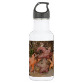 Starfish/Seesterne in der Kanone setzen ODER, Foto Edelstahlflasche (Vorderseite)