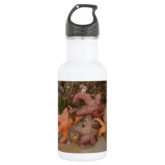 Starfish/Seesterne in der Kanone setzen ODER, Foto Edelstahlflasche (Vorderseite)