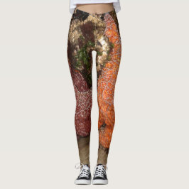 Starfish/Seesterne in der Kanone setzen ODER, Foto Leggings