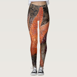 Starfish/Seesterne in der Kanone setzen ODER, Foto Leggings