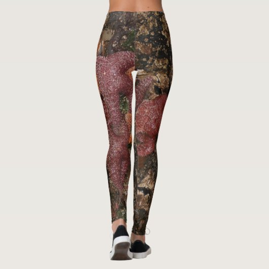 Starfish/Seesterne in der Kanone setzen ODER, Foto Leggings (Rückseite)