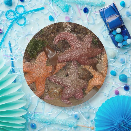 Starfish/Seesterne in der Kanone setzen ODER, Foto Pappteller (Party)