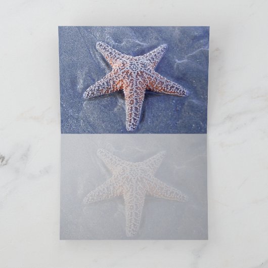 Starfish Semi getersed Card Karte (Innenseite)