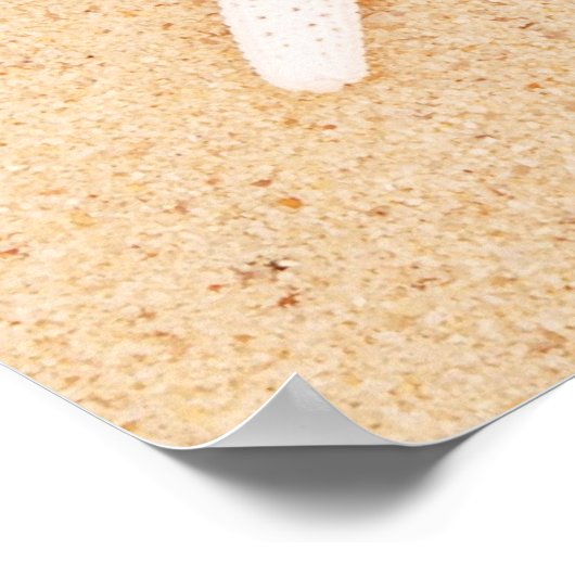 Starfish Serenity Prayer Poster (Ecke)