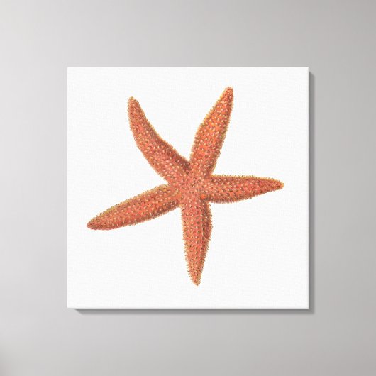 Starfish - Sherman Denton Fish Lithograph Leinwanddruck (Vorderseite)