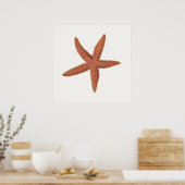 Starfish - Sherman Denton Fish Lithograph Poster (Küche)