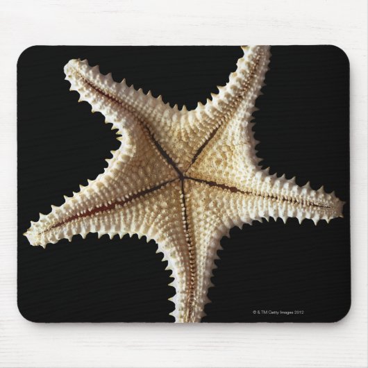 Starfish Skelett, nah-up 2 Mousepad (Vorne)