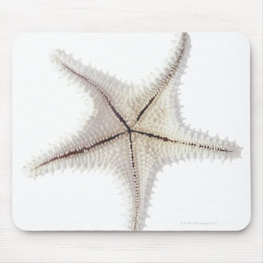 Starfish-Skelett, nah-up Mousepad (Vorne)