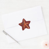 Starfish Stern-Aufkleber (Umschlag)