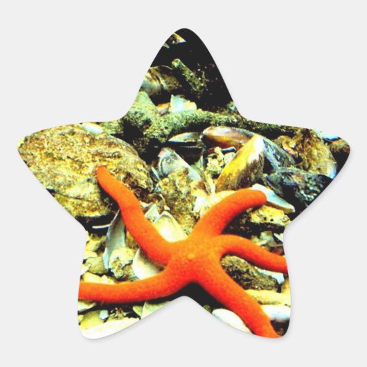 Starfish Stern-Aufkleber (Vorderseite)