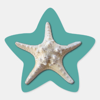 Starfish Sticker