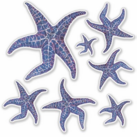Starfish Stickers - BLAU Aufkleber (Vorderseite)