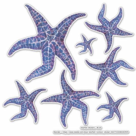 Starfish Stickers - BLAU Aufkleber (Vorderseite)
