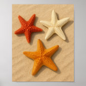 Starfish Summer Beach Trendy Wall Art Poster (Vorne)