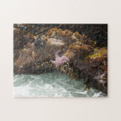 Starfish Tidepool Puzzle (Horizontal)