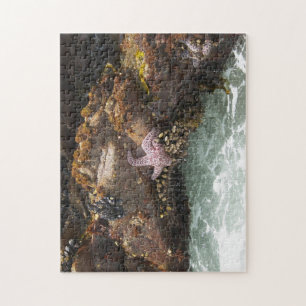 Starfish Tidepool Puzzle