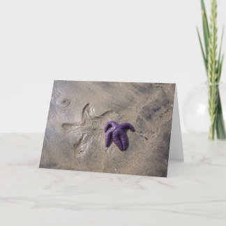 Starfish Tracks Karte