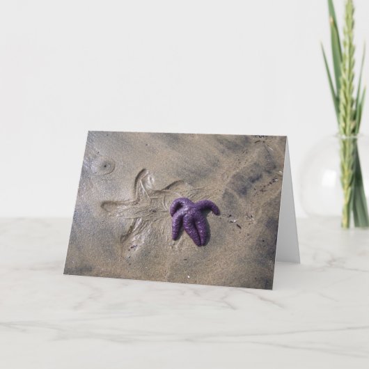 Starfish Tracks Karte (Vorderseite)