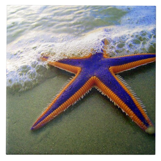 Starfish Tropical Sandy Beach Wave Fliese (Vorderseite)