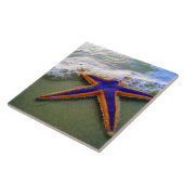 Starfish Tropical Sandy Beach Wave Fliese (Seite)