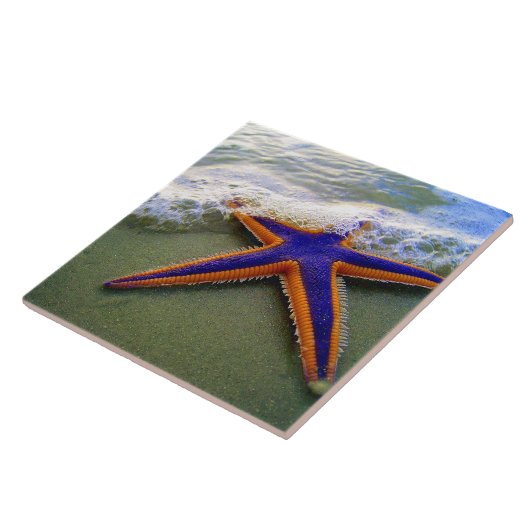 Starfish Tropical Sandy Beach Wave Fliese (Seite)