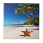 Starfish-tropische Sandy-Strand-Palme-Insel Fliese (Vorderseite)