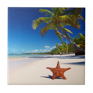 Starfish-tropische Sandy-Strand-Palme-Insel Fliese