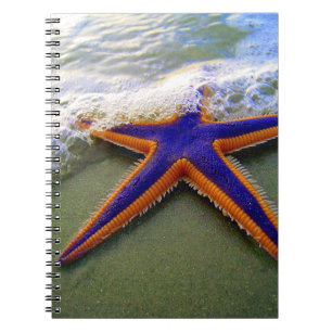Starfish Tropischer Sandstrand Notizblock