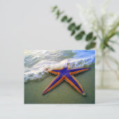 Starfish Tropischer Sandstrand Postkarte (Stehend Vorderseite)