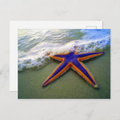 Starfish Tropischer Sandstrand Postkarte (Vorne/Hinten)