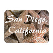 Starfish überall , San Diego , Kalifornien Magnet (Horizontal)