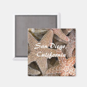 Starfish überall , San Diego , Kalifornien Magnet (Vorderseite/Rückseite)