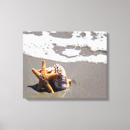 Starfish und Muschel Leinwanddruck