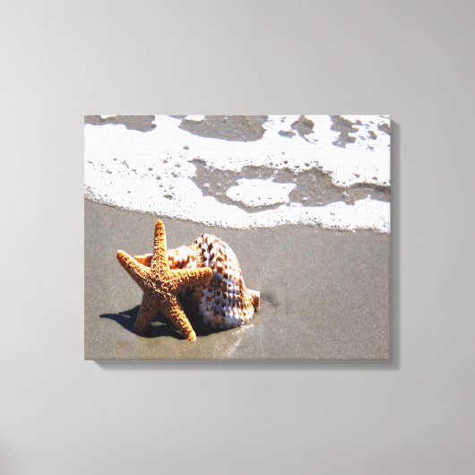 Starfish und Muschel Leinwanddruck (Vorderseite)