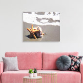 Starfish und Muschel Leinwanddruck (Insitu (Wohnzimmer))
