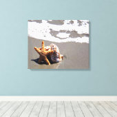 Starfish und Muschel Leinwanddruck (Insitu (Holzboden))