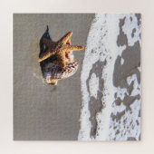 Starfish und Muschel Puzzle (Horizontal)