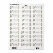 Starfish und Sand Dollar über Lace Blue (Vorne)