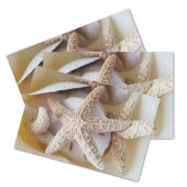 Starfish und Sand Dollars Cremeweiße Küste Seidenpapier