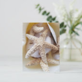Starfish und Sand Dollars Seashell Fotografie Postkarte (Stehend Vorderseite)
