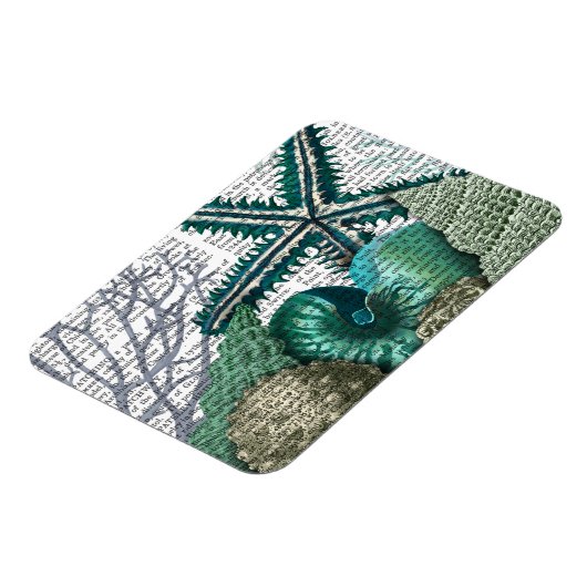 Starfish unter dem Meer Magnet (Linke Seite)